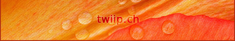 twiip.ch - conception web & cration graphique